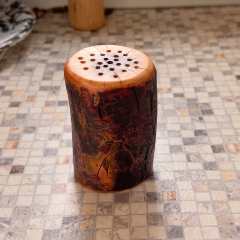 Solniță de sare în scoarță